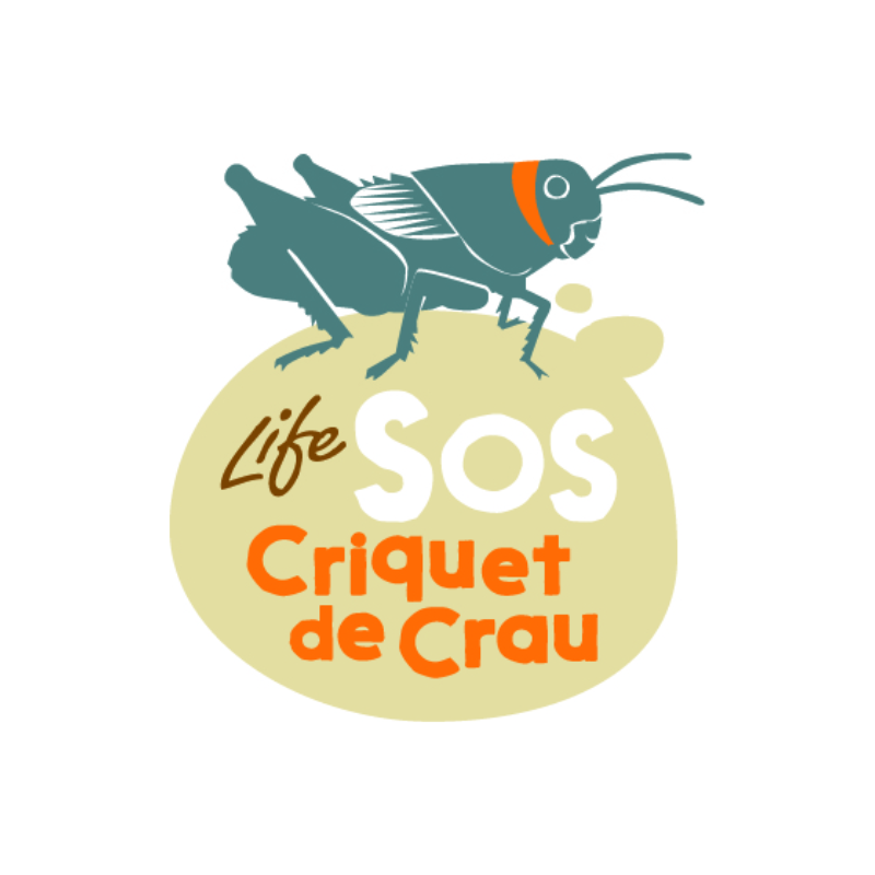 Life SOS criquet de Crau