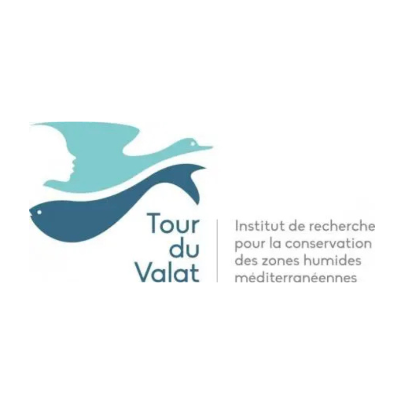 Tour du Valat